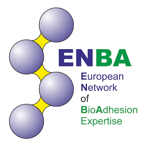 ENBA logo